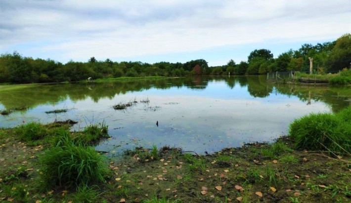 Propriété de chasse Propriété de chasse en bord de Loire