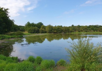 Propriété de chasse Propriété de chasse en bord de Loire