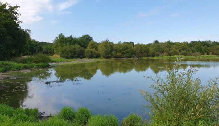Propriété de chasse Propriété de chasse en bord de Loire