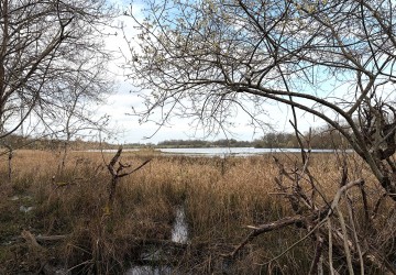 Propriété de chasse Coeur de Brenne – Magnifique Propriété de Chasse de 170 Hectares