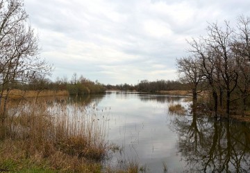 Propriété de chasse Coeur de Brenne – Magnifique Propriété de Chasse de 170 Hectares