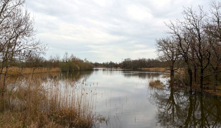 Propriété de chasse Coeur de Brenne – Magnifique Propriété de Chasse de 170 Hectares