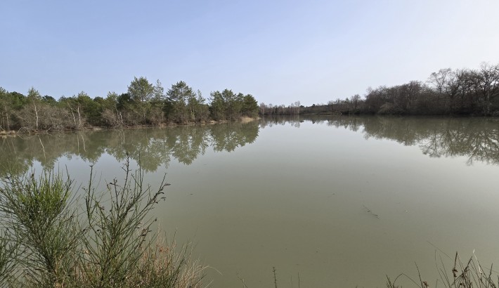 Propriété de chasse Très belle propriété de chasse en pleine Sologne