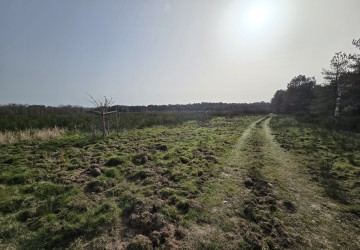 Propriété de chasse Très belle propriété de chasse en pleine Sologne