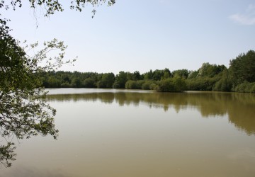Propriété de chasse Très belle propriété de chasse en pleine Sologne