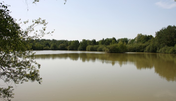 Propriété de chasse Très belle propriété de chasse en pleine Sologne