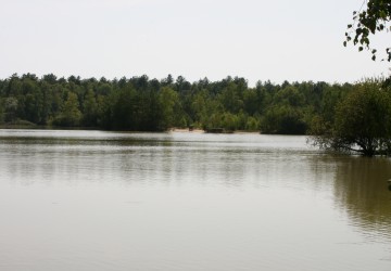 Propriété de chasse Très belle propriété de chasse en pleine Sologne
