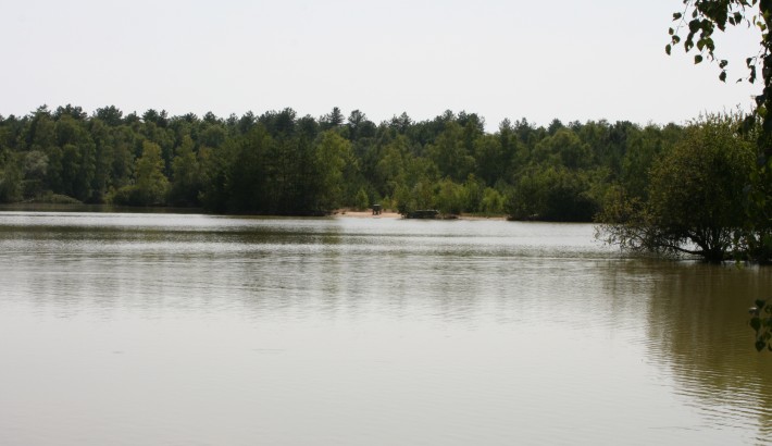 Propriété de chasse Très belle propriété de chasse en pleine Sologne