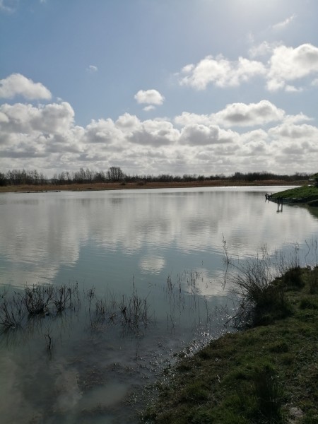 Location hutte et marais en baie de Somme