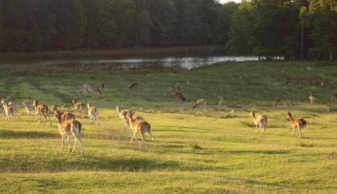 Séjour de chasse Domaine de Boutissaint