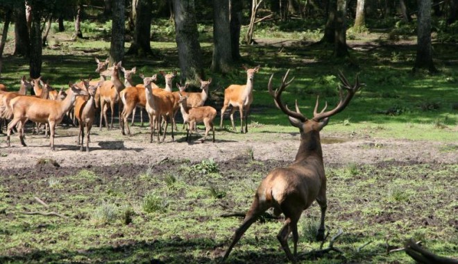 Séjour de chasse Domaine de Boutissaint