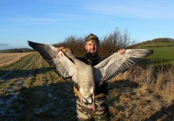 Canards et Oies Ecosse - Esprit Sauvage