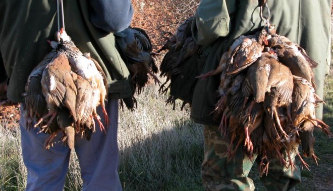 Séjour de chasse Espagne - Orchape