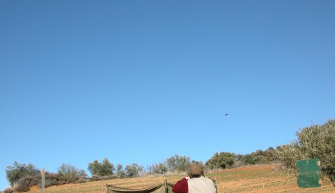 Séjour de chasse Espagne - Orchape