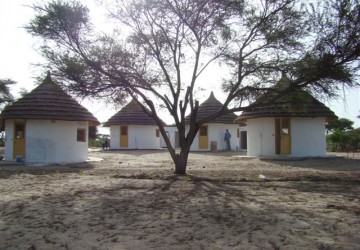 Tchad - Orchape
