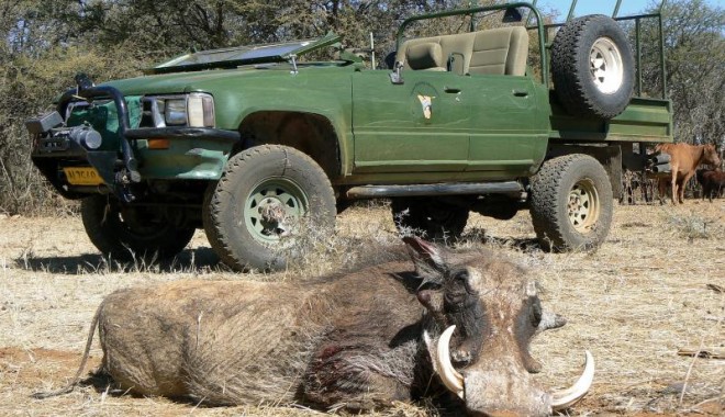 Séjour de chasse Namibie - Orchape