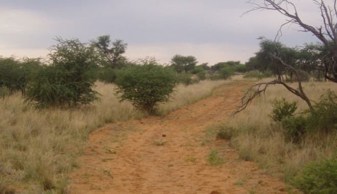 Séjour de chasse LC Voyages - Namibie