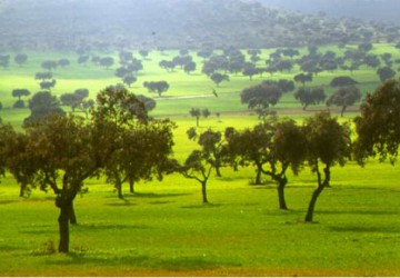 Sierra Del Oro - Espagne