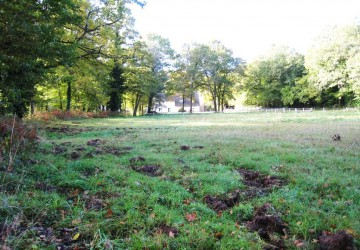 Propriété de chasse Propriété de Chasse à vendre