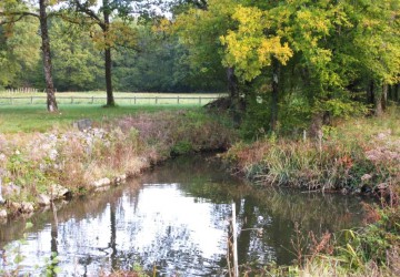 Propriété de chasse Propriété de Chasse à vendre