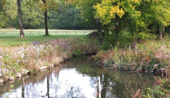 Propriété de chasse Propriété de Chasse à vendre