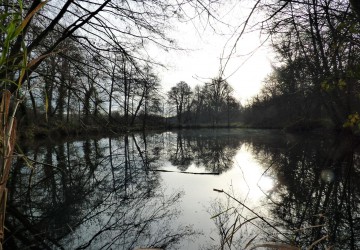 Propriété de chasse Propriété de Chasse à vendre