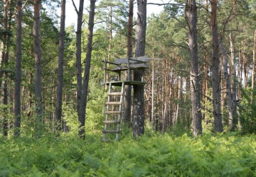 Propriété de chasse Propriété de Chasse à vendre