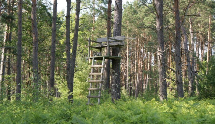 Propriété de chasse Propriété de Chasse à vendre