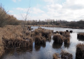 Propriété de chasse Etang