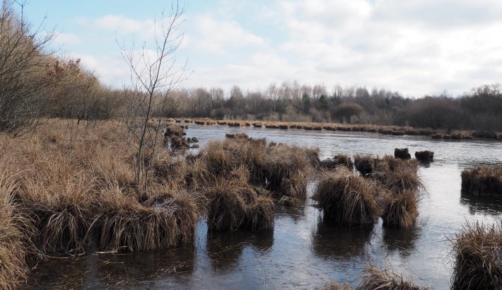 Propriété de chasse Etang