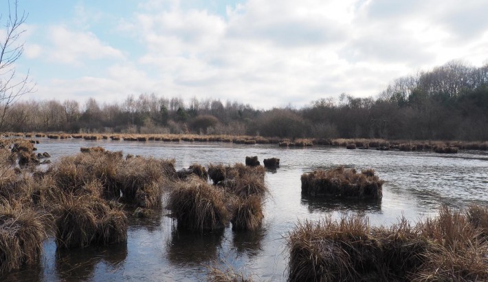 Propriété de chasse Etang