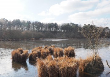 Propriété de chasse Etang