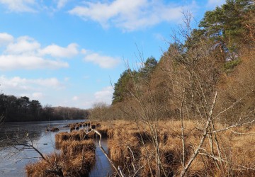 Propriété de chasse Etang