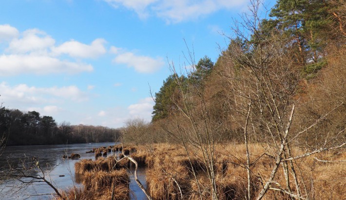 Propriété de chasse Etang