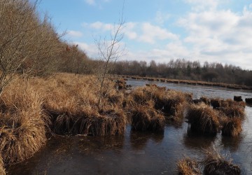 Propriété de chasse Etang