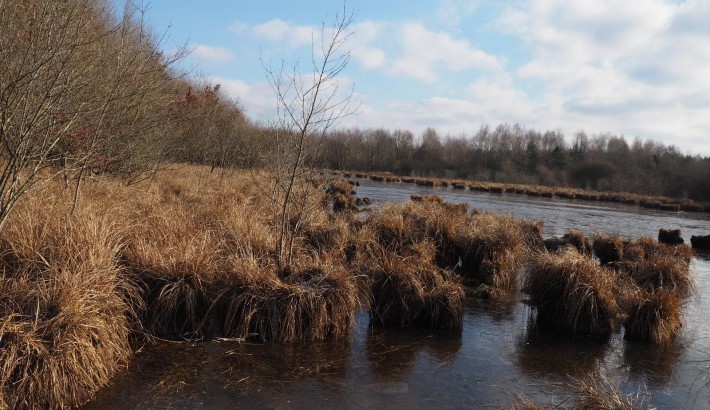 Propriété de chasse Etang