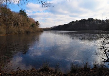 Propriété de chasse Etang