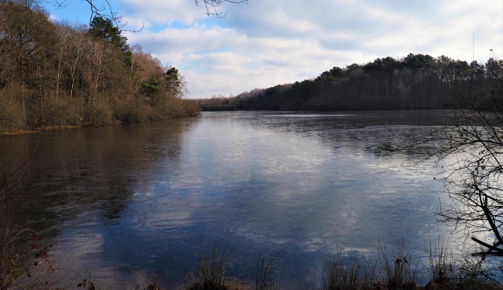 Propriété de chasse Etang