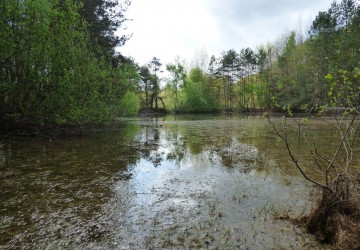 Propriété de chasse Propriété de Chasse