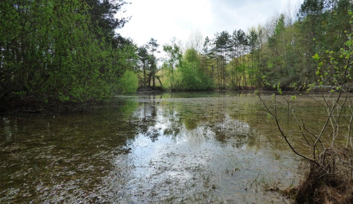 Propriété de chasse Propriété de Chasse