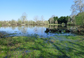 Propriété de chasse Propriété de Chasse