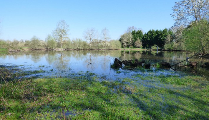 Propriété de chasse Propriété de Chasse