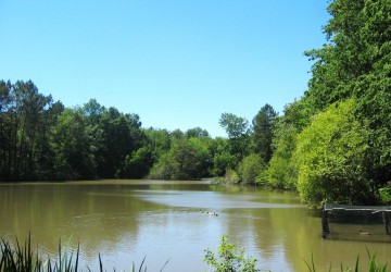 Parcs de Chasse à vendre