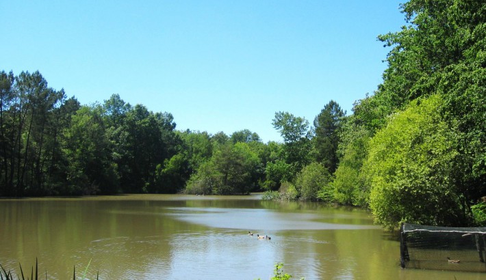 Propriété de chasse Parcs de Chasse à vendre