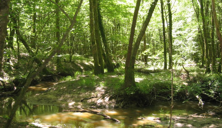 Propriété de chasse Parcs de Chasse à vendre