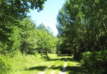Propriété de chasse Parcs de Chasse à vendre