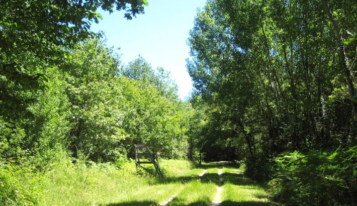 Propriété de chasse Parcs de Chasse à vendre