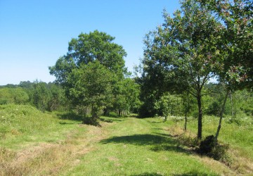 Propriété de chasse Parcs de Chasse à vendre