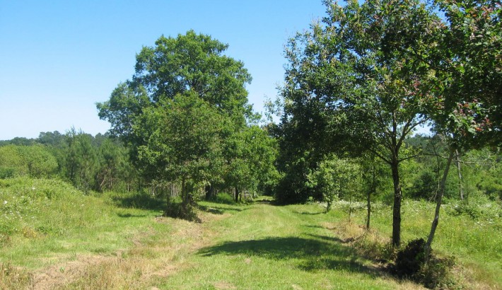 Propriété de chasse Parcs de Chasse à vendre