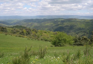 Propriété de chasse Propriété de Chasse à vendre